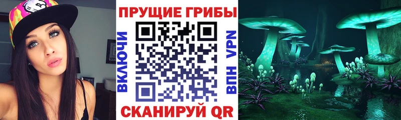 Купить где  Снежинск  Псилоцибиновые грибы мухоморы 